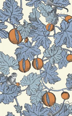 Frutto Proibito 114-1003