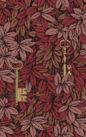 Chiavi Segrete 114-9019