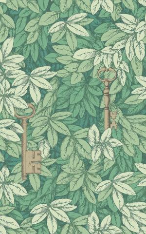 Chiavi Segrete 114-26050