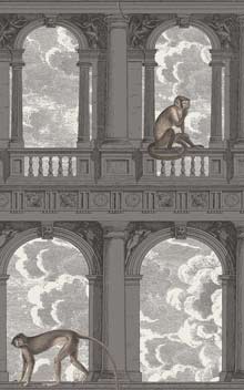 Procuratie Con Vista 114-8016