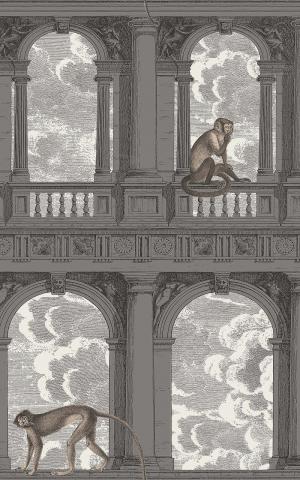 Procuratie Con Vista 114-8016