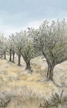 LAURIS - KAKI/CIEL / KAKI/SKY - WALLPAPER PANEL 