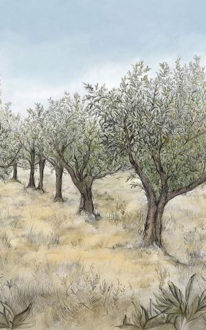 LAURIS - KAKI/CIEL / KAKI/SKY - WALLPAPER PANEL 