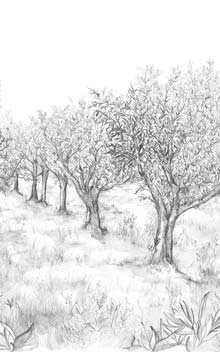 LAURIS - NOIR/BLANC / BLACK/WHITE - WALLPAPER PANEL 