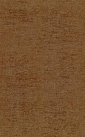 Johara - ECUREUIL / SQUIRREL