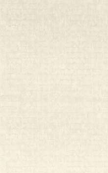 FAENZA - Ivoire / Ivory