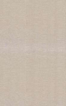 SCANDIUM  - Sable/Argent  / Sand/Silver 