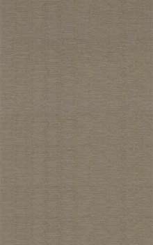 PLATINUM  - Acier / Steel 