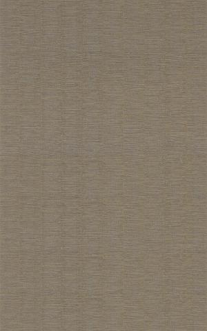 PLATINUM  - Acier / Steel 