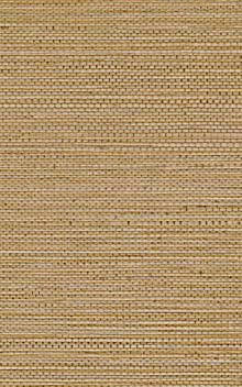 ZOSTERA - Mordore / Mordore 