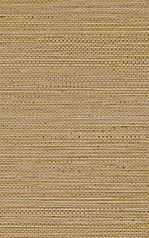 ZOSTERA - Mordore / Mordore 