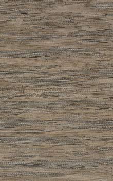 TATAMI  - Anthracite/Dore / Anthracite/Gold