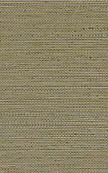 ZOSTERA - Kaki / Khaki