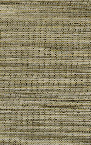 ZOSTERA - Kaki / Khaki