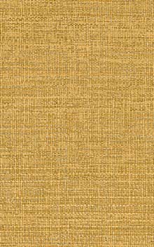 CARIOCA - Paille / Straw 