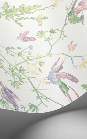 Hummingbirds 124/1001