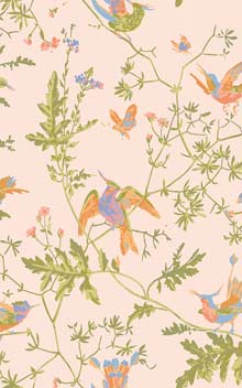 Hummingbirds 124/1002