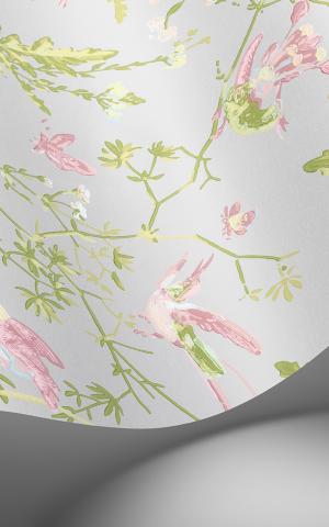 Hummingbirds 124/1003