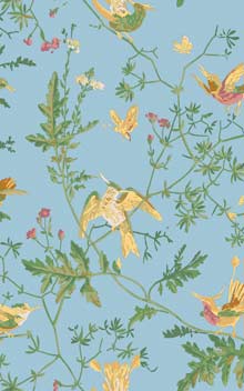 Hummingbirds 124/1004