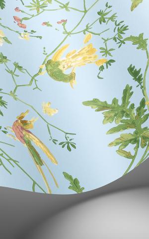 Hummingbirds 124/1004