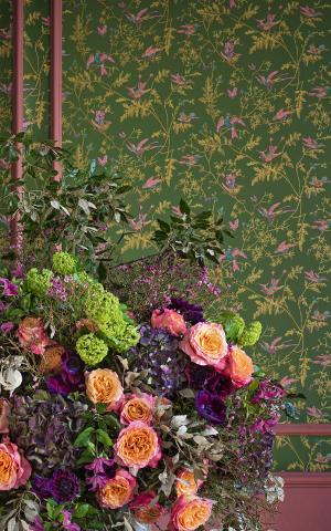 Hummingbirds 124/1005