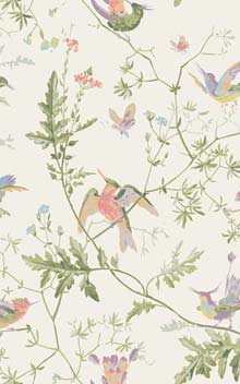 Hummingbirds 100/14067