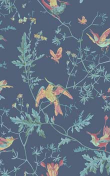 Hummingbirds 100/14068