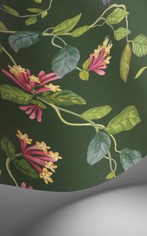 Hummingbirds 100/14068