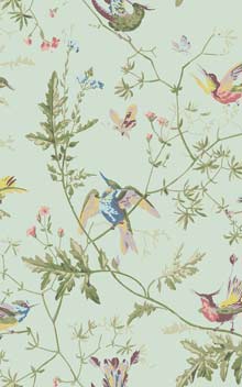 Hummingbirds 100/14069