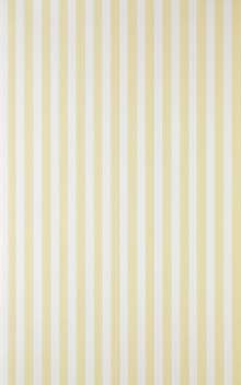 Closet Stripe ST 356