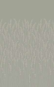 Feathergrass BP 5102