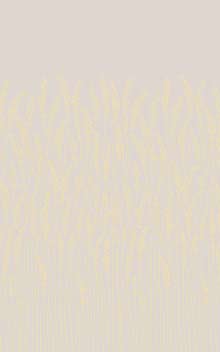 Feathergrass BP 5104