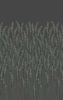 Feathergrass BP 5106