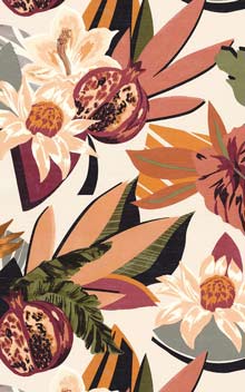 Salvador Grege / Corail