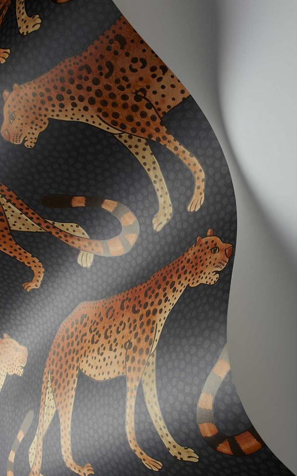 Leopard Walk 109-2008