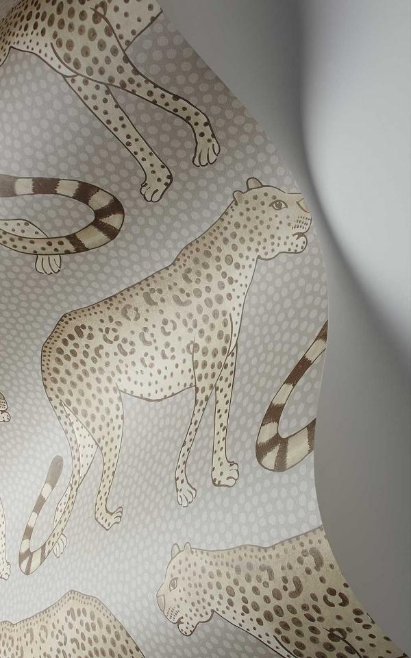 Leopard Walk 109-2012