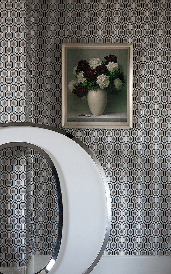 Hicks' Hexagon 95-3015