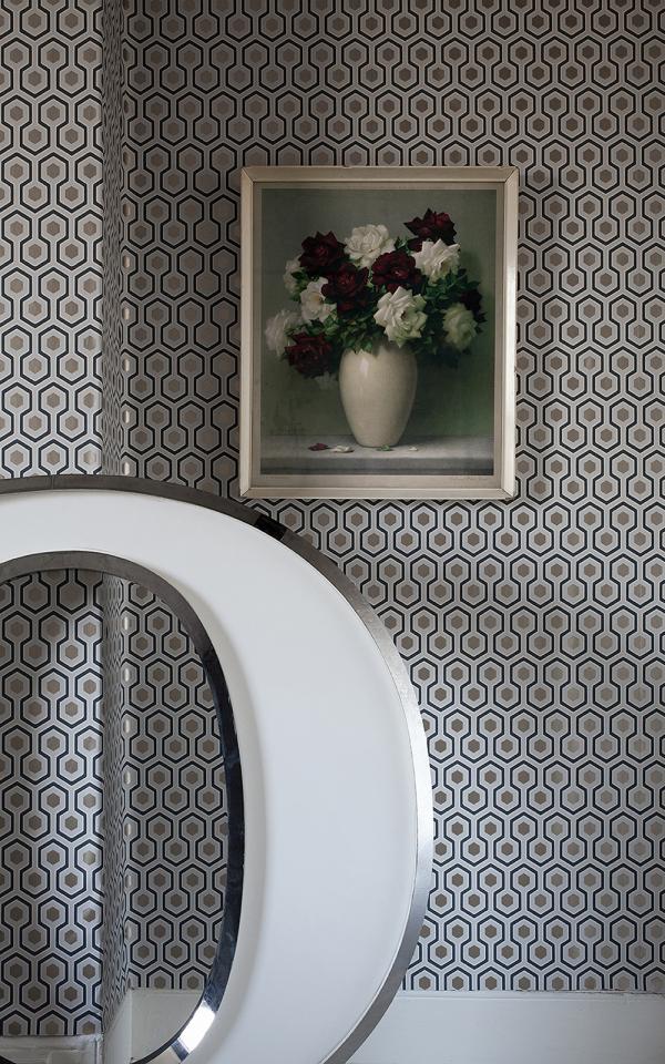 Hicks' Hexagon 95-3018