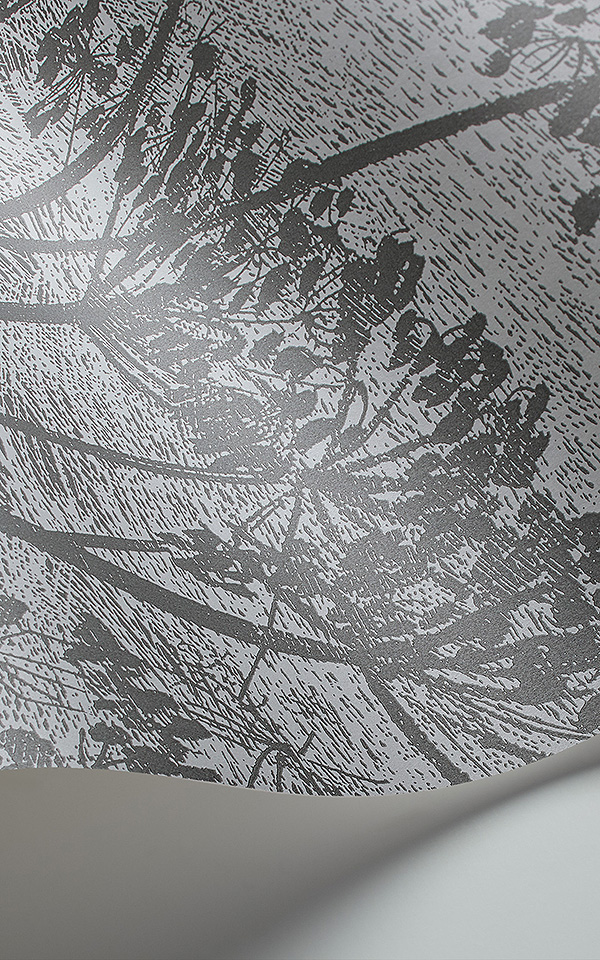 Cow Parsley 112-8026