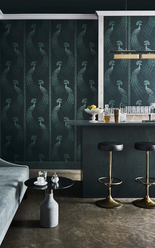 Pavo Parade 116-8030