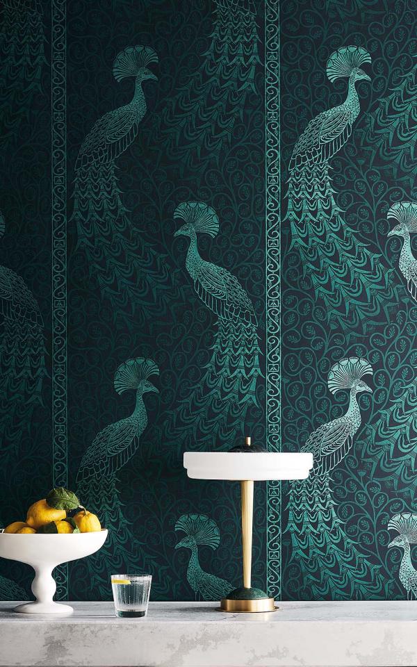 Pavo Parade 116-8031