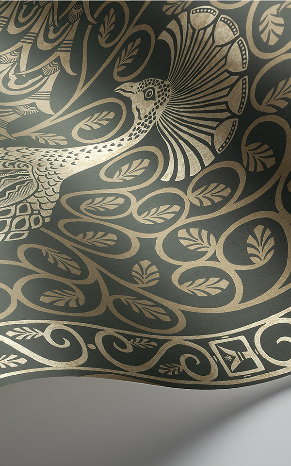 Pavo Parade 116-8031