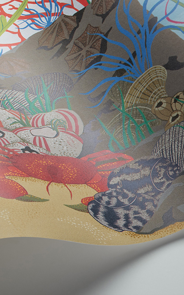 Archipelago Border 103-12054