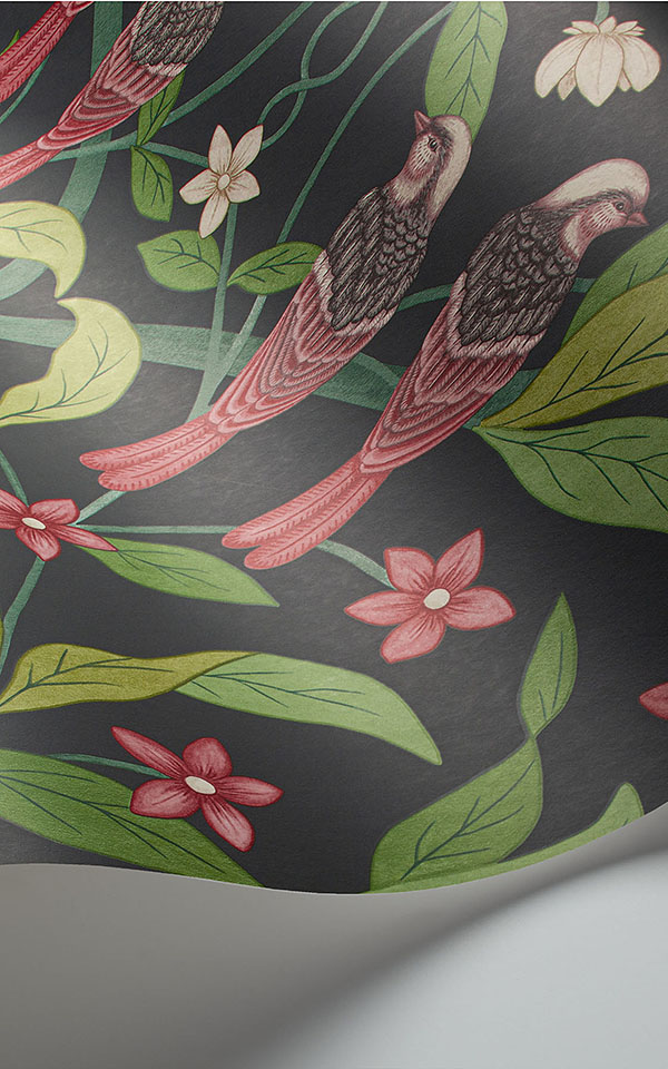 Jasmine & Serin Symphony  117-10028