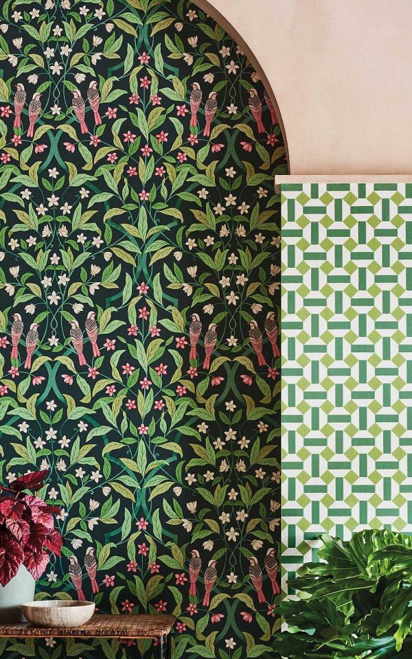 Jasmine & Serin Symphony  117-10029