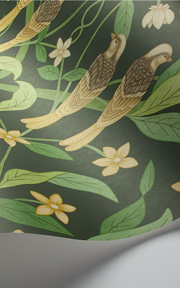 Jasmine & Serin Symphony  117-10029