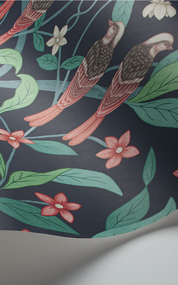 Jasmine & Serin Symphony  117-10030