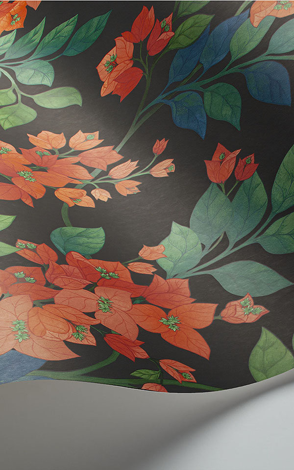 Bougainvillea 117-6017