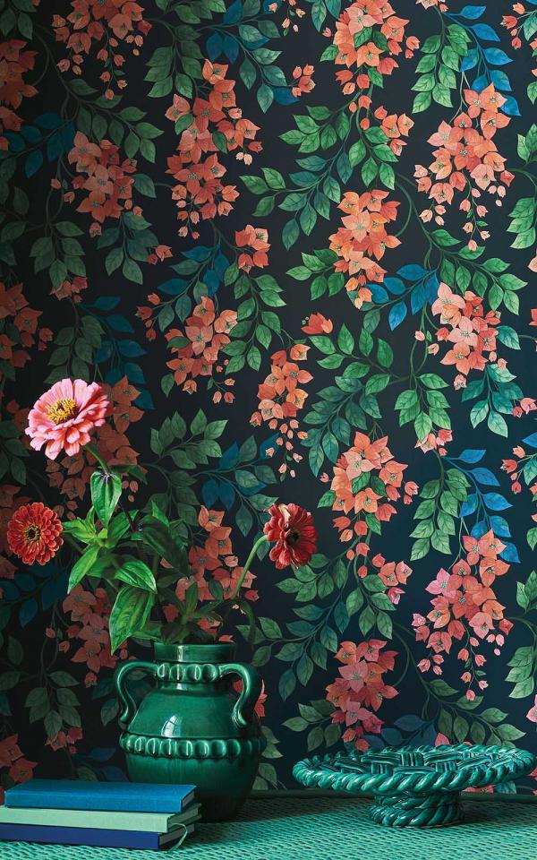 Bougainvillea 117-6019