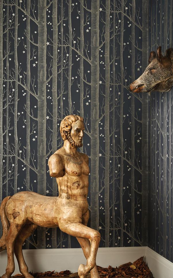 Woods & Stars 103-11050